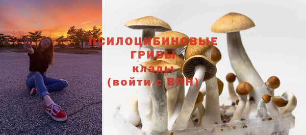 СК Тихвин