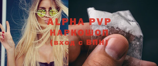 ГАЛЛЮЦИНОГЕННЫЕ ГРИБЫ Ельня