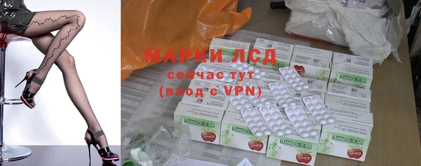 ГАЛЛЮЦИНОГЕННЫЕ ГРИБЫ Ельня