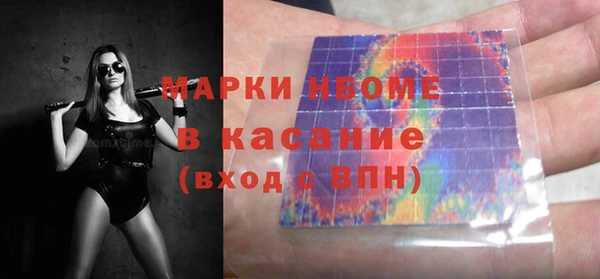 ГАЛЛЮЦИНОГЕННЫЕ ГРИБЫ Ельня