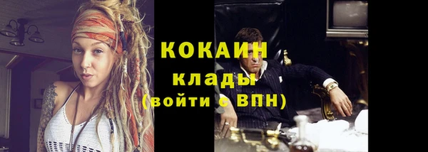 ГАЛЛЮЦИНОГЕННЫЕ ГРИБЫ Ельня
