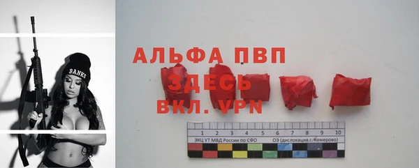 ГАЛЛЮЦИНОГЕННЫЕ ГРИБЫ Ельня