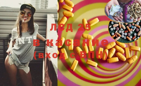 ГАЛЛЮЦИНОГЕННЫЕ ГРИБЫ Ельня