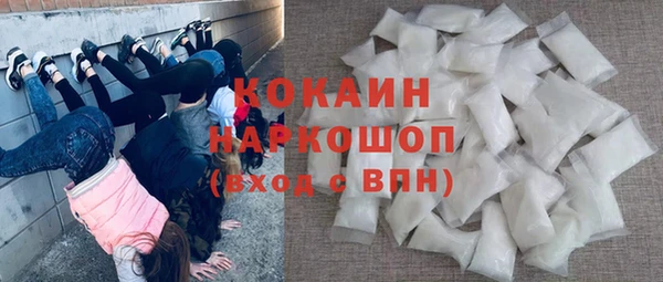 ГАЛЛЮЦИНОГЕННЫЕ ГРИБЫ Ельня