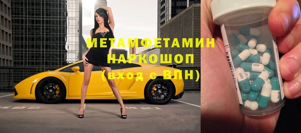 ГАЛЛЮЦИНОГЕННЫЕ ГРИБЫ Ельня